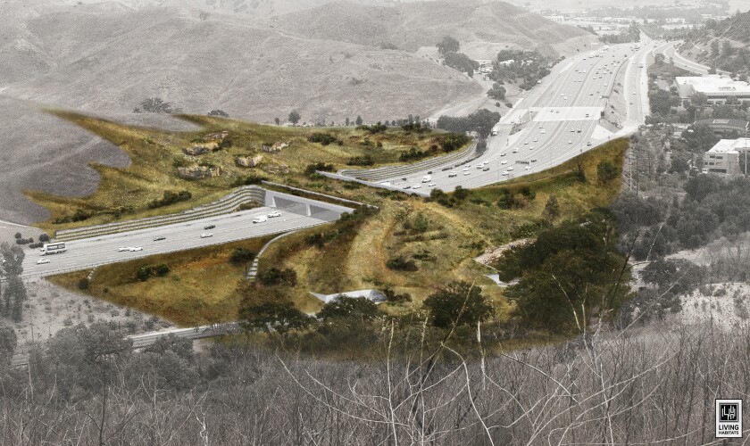 Rappresentazione artistica del ponte del leone di montagna lungo 200 piedi e largo 165 piedi che attraverserà l'autostrada 101