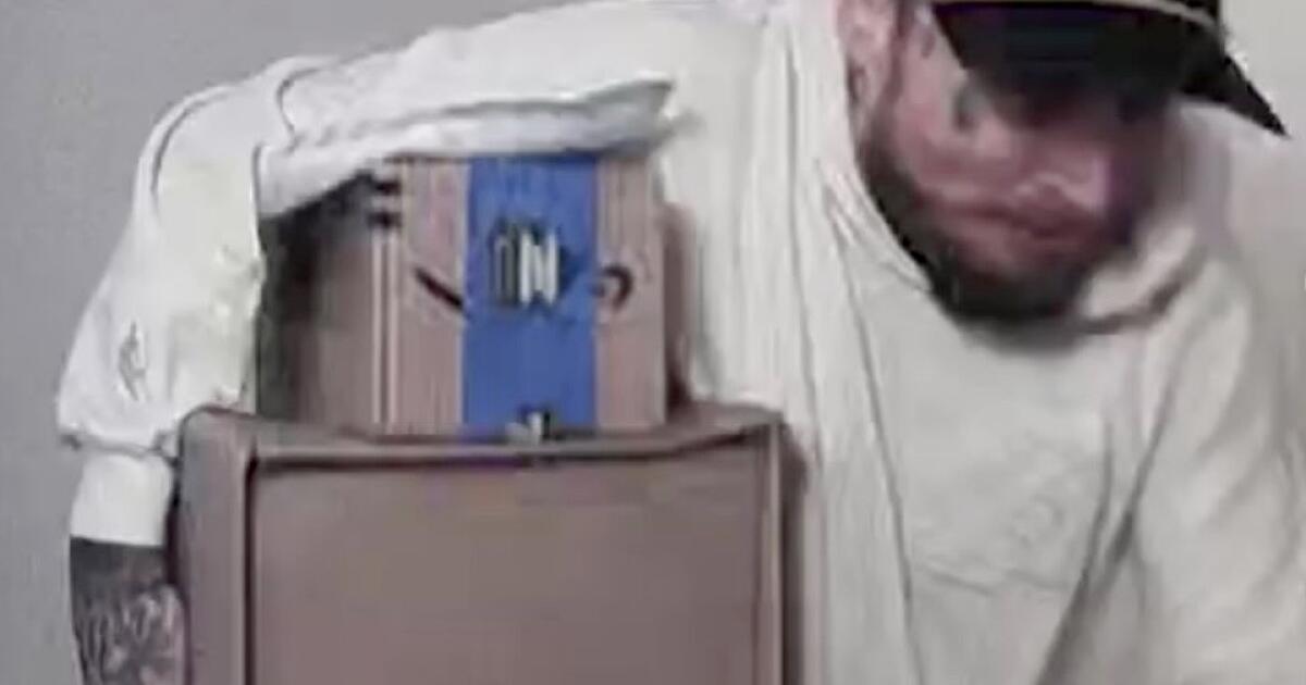 Recognize this alleged package thief? Police are calling him 'Postal Malone'
