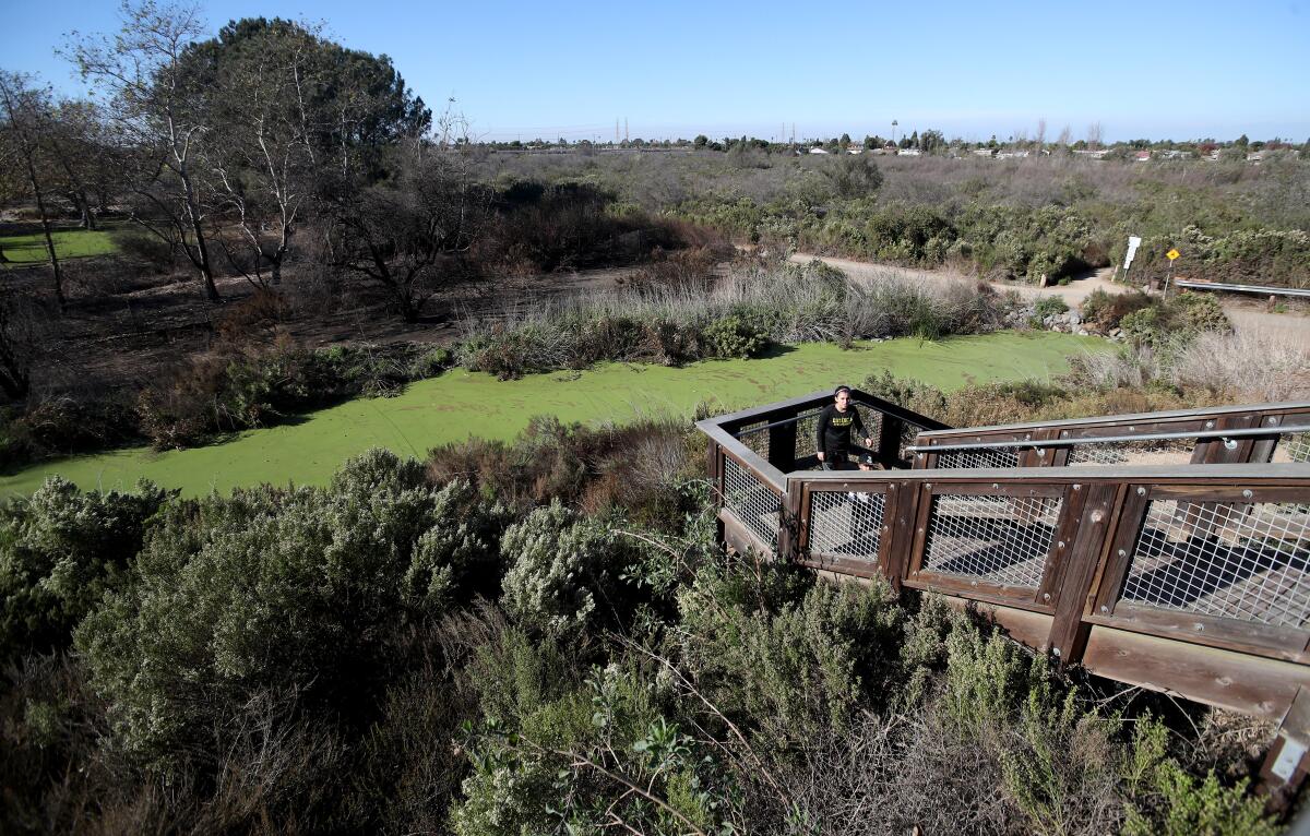 Costa Mesa's Fairview Park Wetlands Complex 