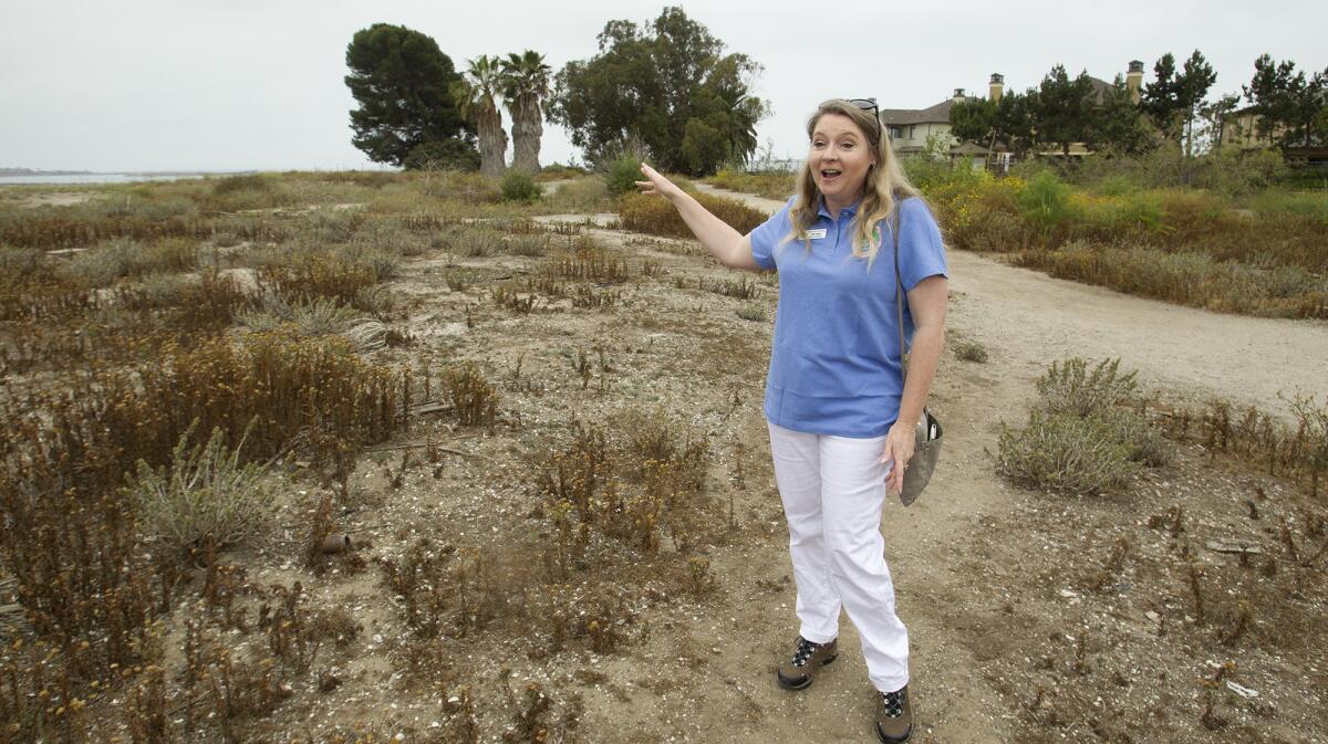 Kim Kolpin, Bolsa Chica Land Trust executive director, speaks as she stands on a parcel of land at Bolsa Chica in Huntington Beach in 2016. The possible development of a townhome complex on part of the site was disputed for years.