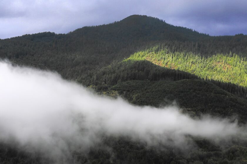 As part of the cap-and-trade program developed by the California Air Resources Board, the Yurok tribe is using its forest land to generate carbon-storage credits that can be sold to oil companies and other businesses that must reduce greenhouse gas emissions.