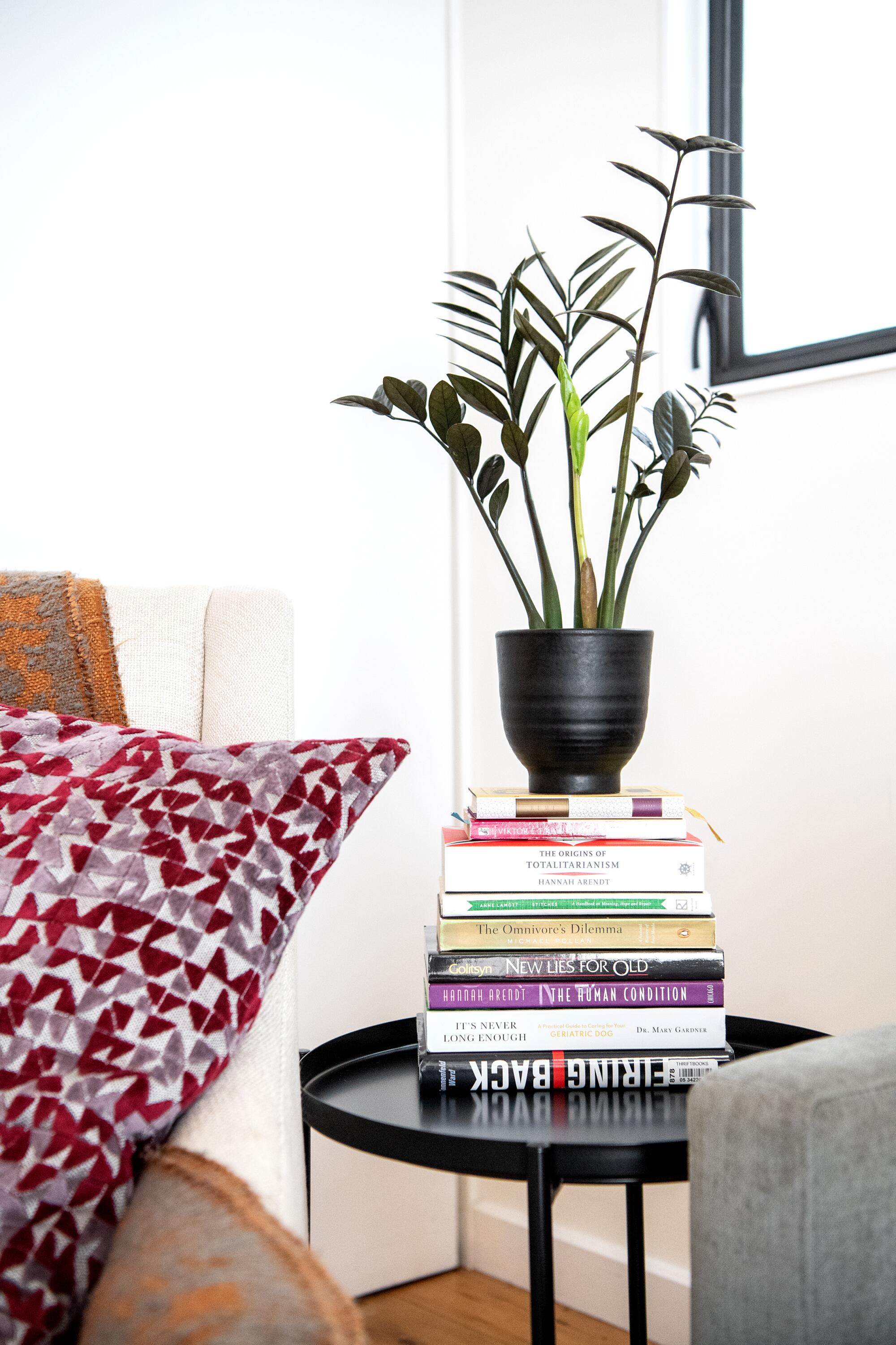 A ZZ plant in a black pot sits on a stack of books. 