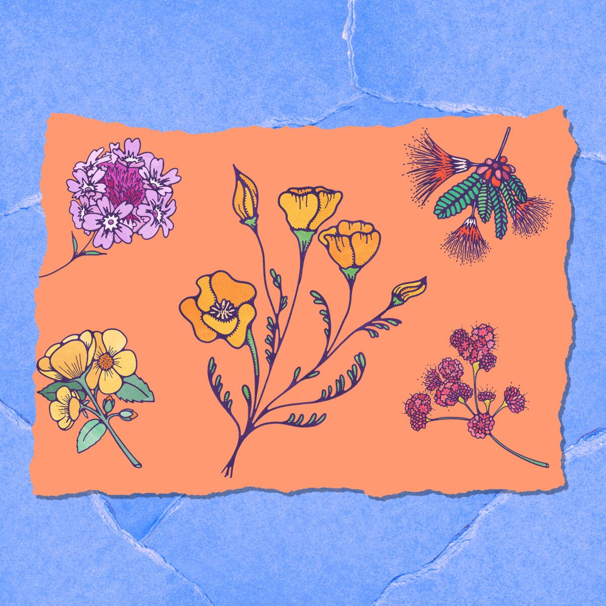 An illustration of five different flowers.