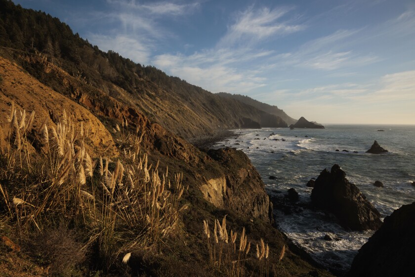 In this photo provided by Save the Redwoods League is the Lost Coast Redwoods property near Rockport, Calif., on Dec. 2, 2021. The group plans to buy and preserve the five mile stretch of rugged Northern California coast that has been logged for more than a century and still features some old-growth redwoods. (Max Whittaker/Save The Redwoods League via AP)