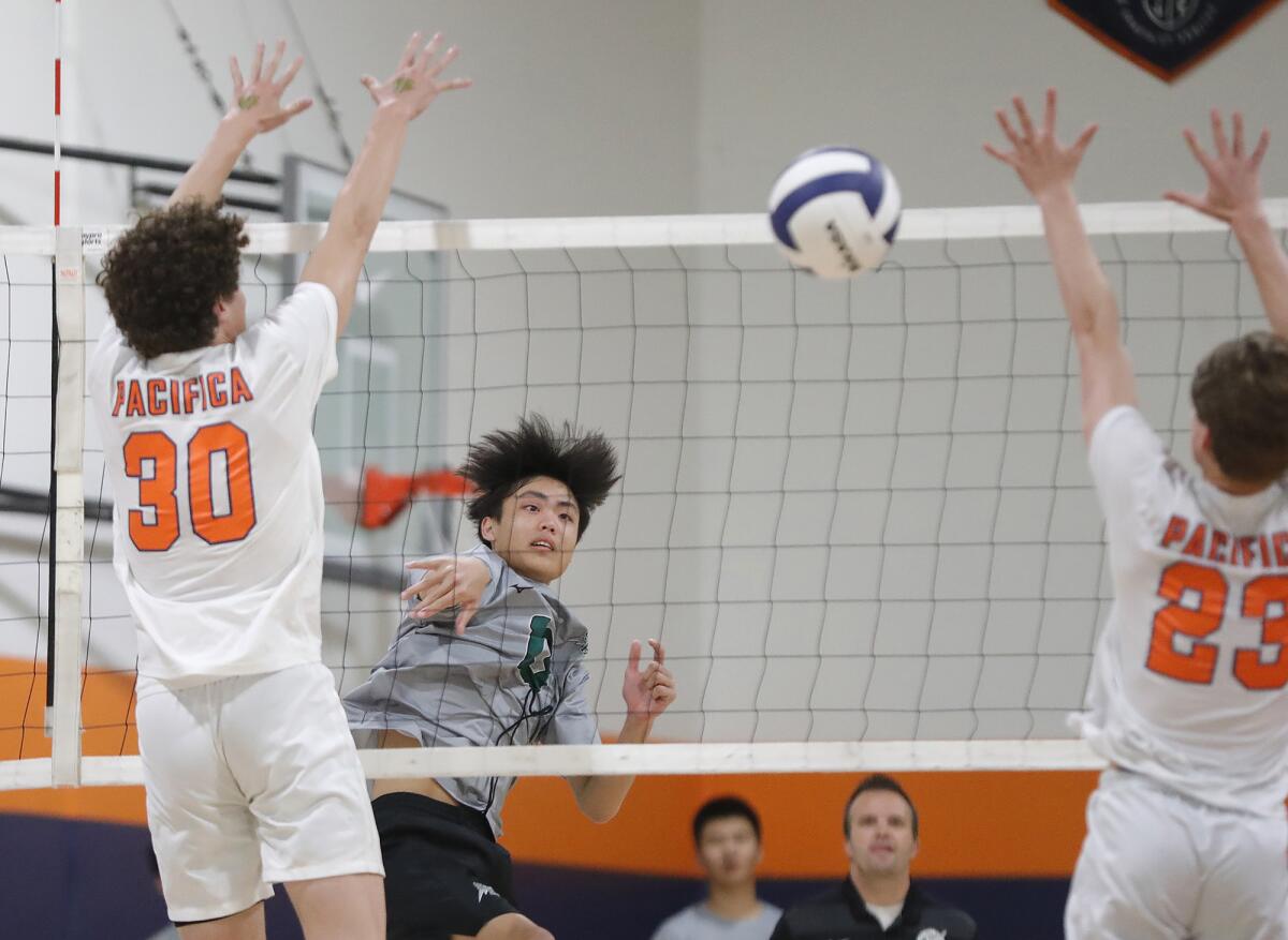 Sage Hill's Ryan Dinh spikes a ball for a point between Pacifica Christian's Knox Vail (30) and Briton Proctor (23).