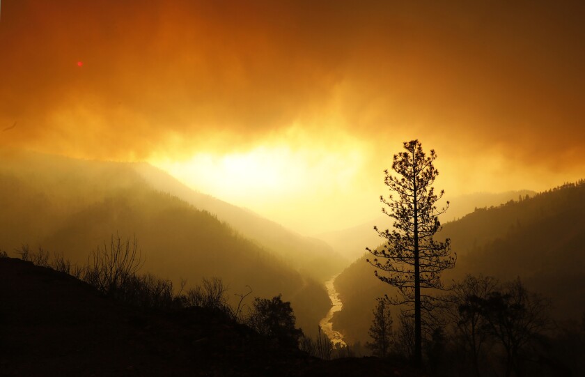 Smoke fills the sky as the Camp fire burns along the North Fork of the Feather River in 2018.
