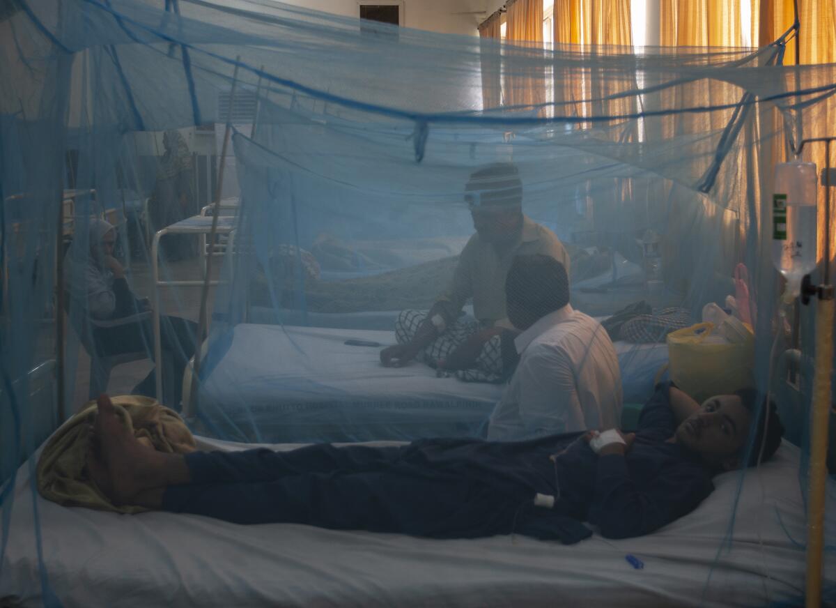 Enfermos de dengue son tratados en un pabellón de aislamiento en un hospital en Rawalpindi, Pakistán, el martes, 24 de septiembre del 2019. Las autoridades de salud de Pakistán luchan contra un brote de dengue que afecta al país y confirmaron más de 10.000 casos y 20 decesos en los últimos meses. (AP Foto/B.K. Bangash)