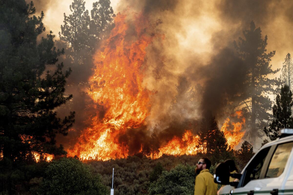 El incendio forestal en Plumas National Forest, California.