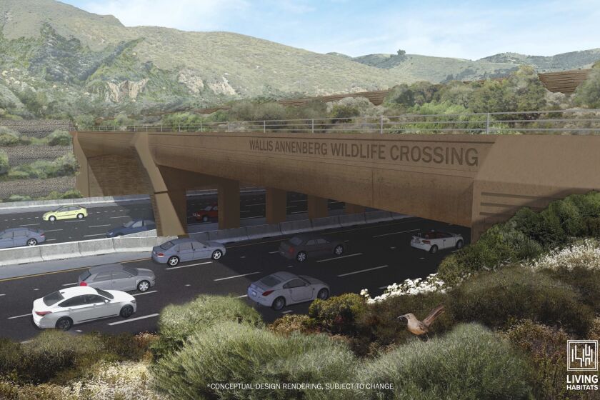The Wallis Annenberg Wildlife Crossing is set to break ground in late January, according to Caltrans.