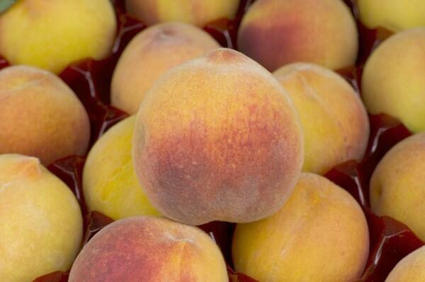 July Elberta peaches