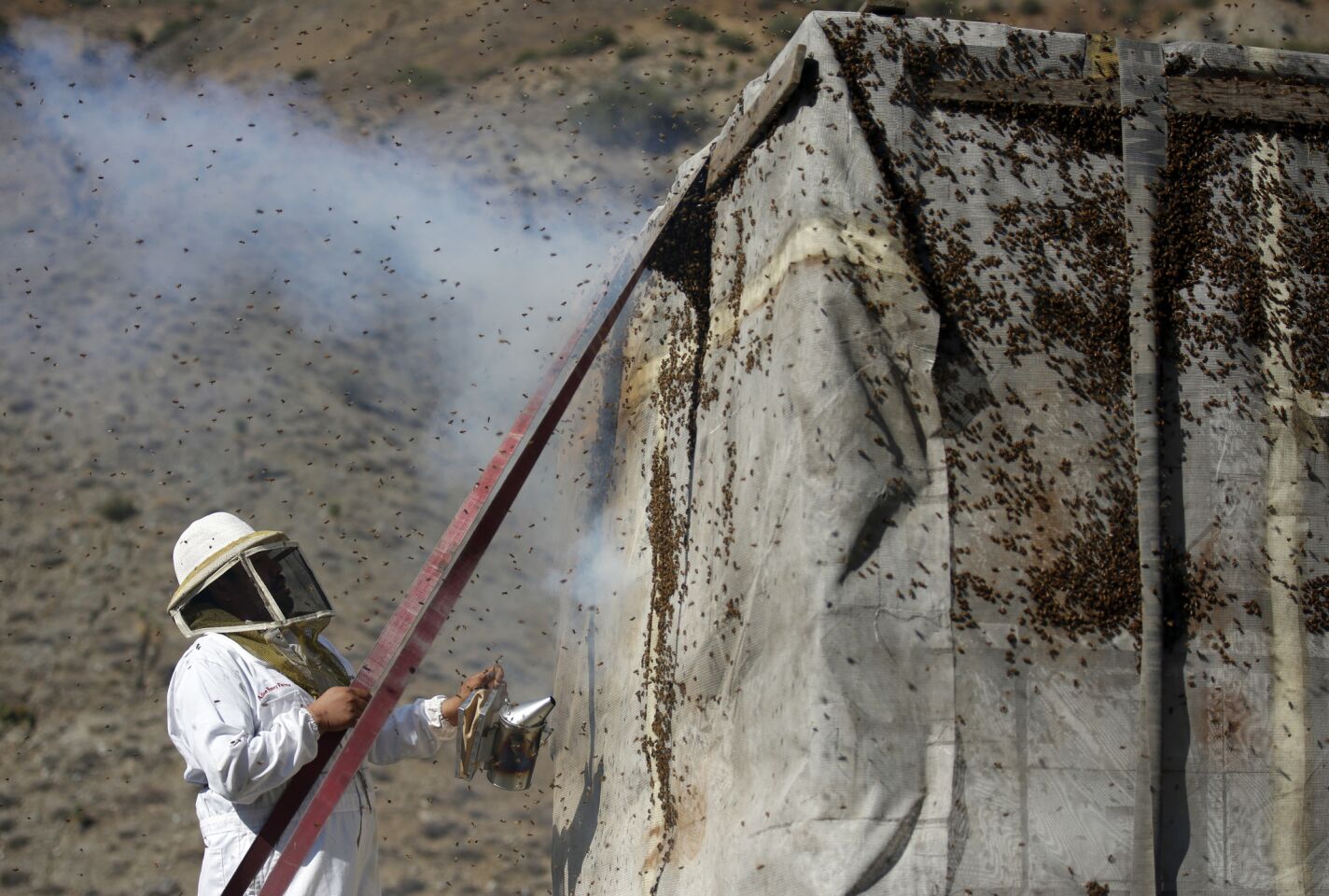 Beekeepers use smoke and water to calm a load of live bees on an 18-wheeler that got stuck in a mudslide east of Tehachapi. Crews continue to unearth vehicles trapped in up to 20 feet of mud after torrential rains pummeled the area.