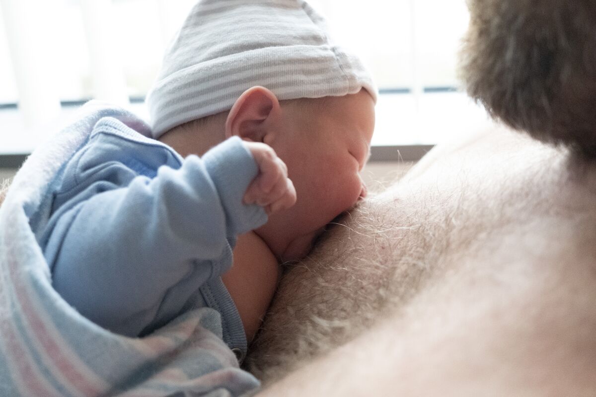 A one-day-old baby tries to latch onto a father's nipple.