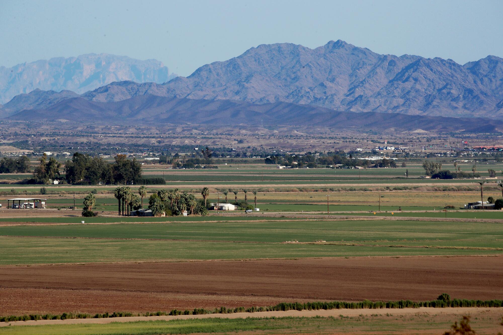 Agricultural fields lie across the Palo Verde Valley in Blythe, Calif.