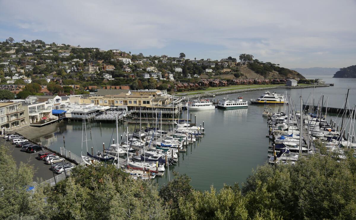 A couple of ferries at top right pull into Tiburon, Calif. (Eric Risberg / Associated Press)