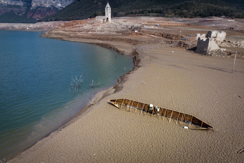 View of the Sau reservoir, about 100 km (62 miles) north of Barcelona. Spain, Monday, March 20, 2023. The Sau reservoir's water levels now stand at 9% of total capacity, according to Catalan Water Agency data, so officials have taken the decision to remove its fish to prevent them from asphyxiating. (AP Photo/Emilio Morenatti)