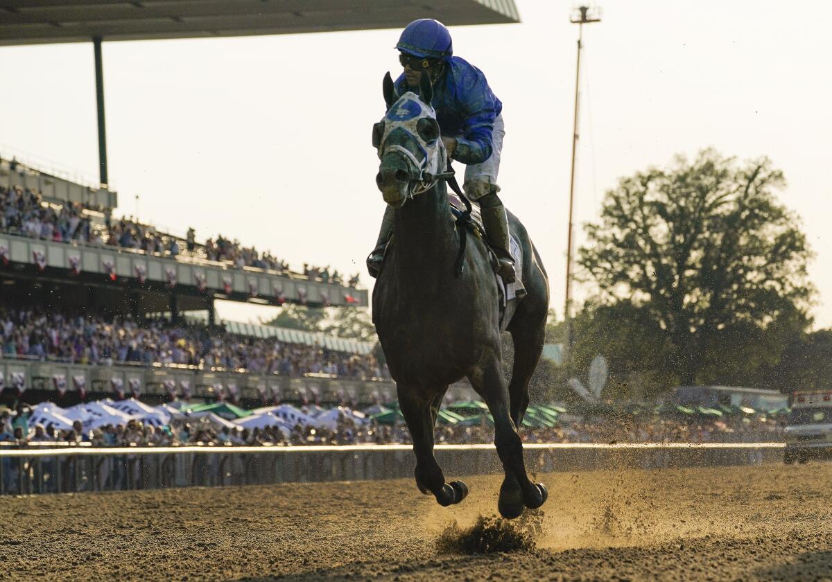 a racehorse and jockey