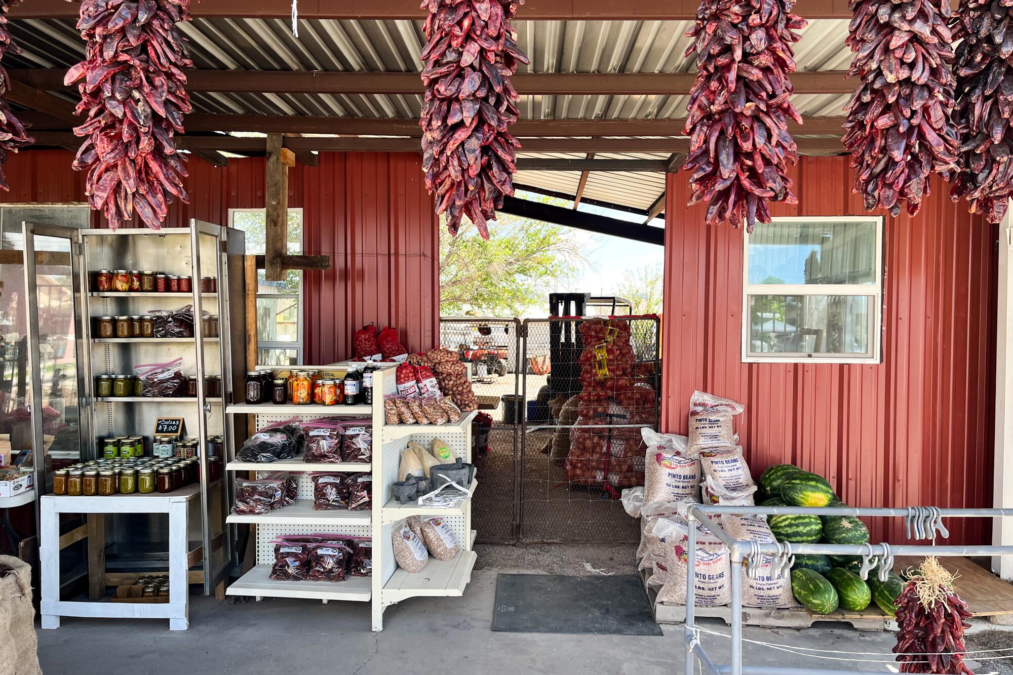 A store with products on shelves and clusters of dried chiles hanging overhead 