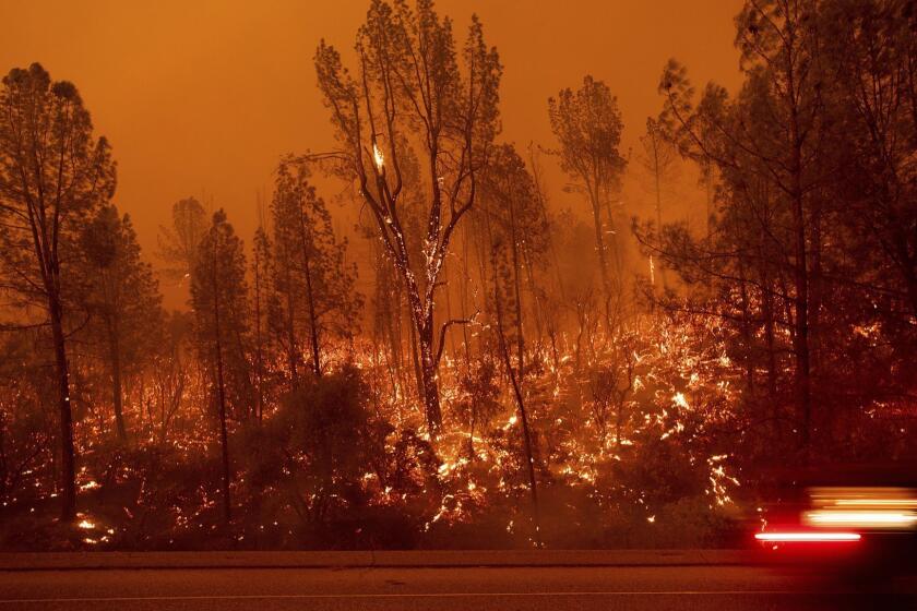 The Carr Fire burns along Highway 299 in Shasta, Calif., on Thursday, July 26, 2018. (AP Photo/Noah Berger)