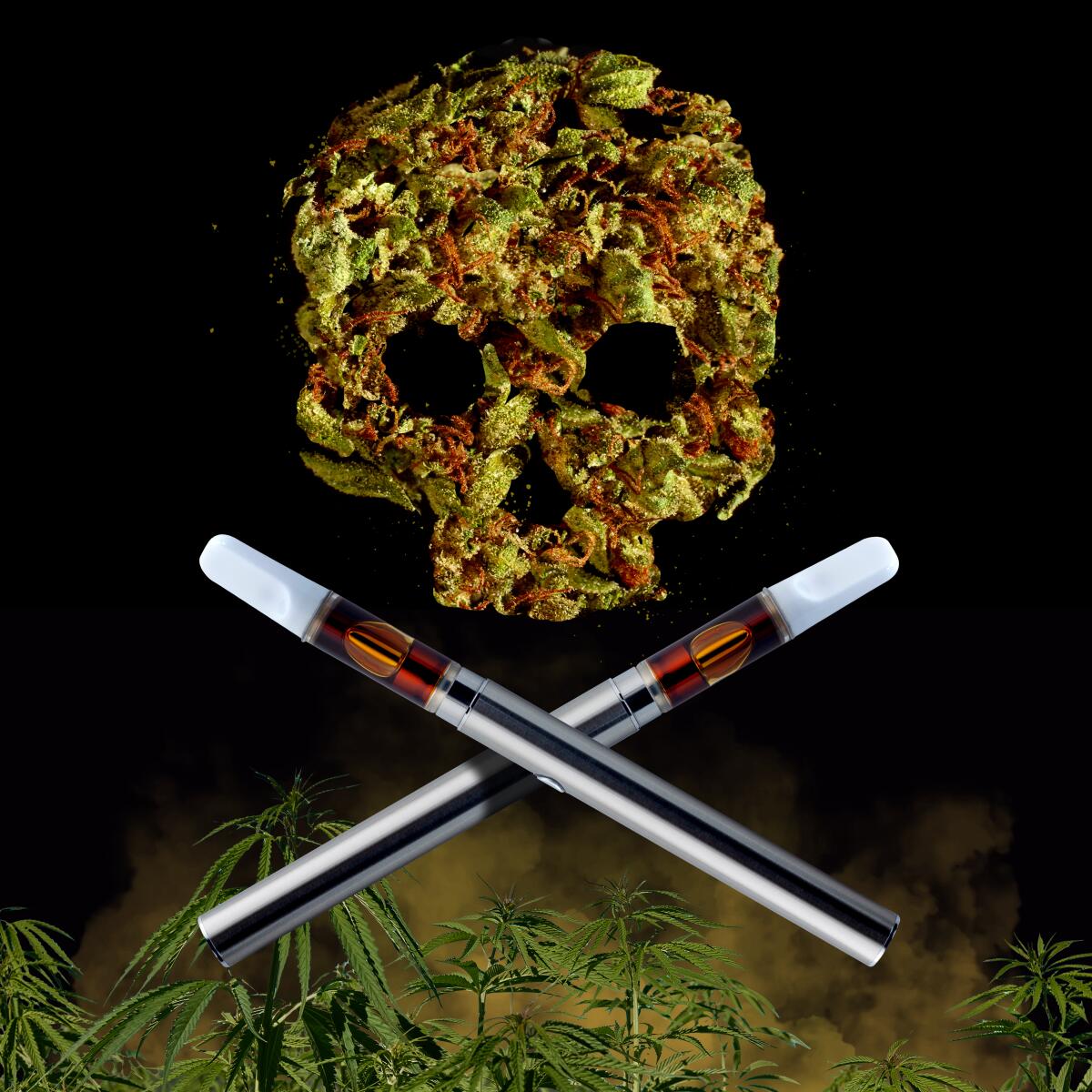 tobacco is a dirty weed Photo by Mind blowing facts (@blowingfacts365) July 5, 2026 Heavy duty From Weed to Nicotine: What
