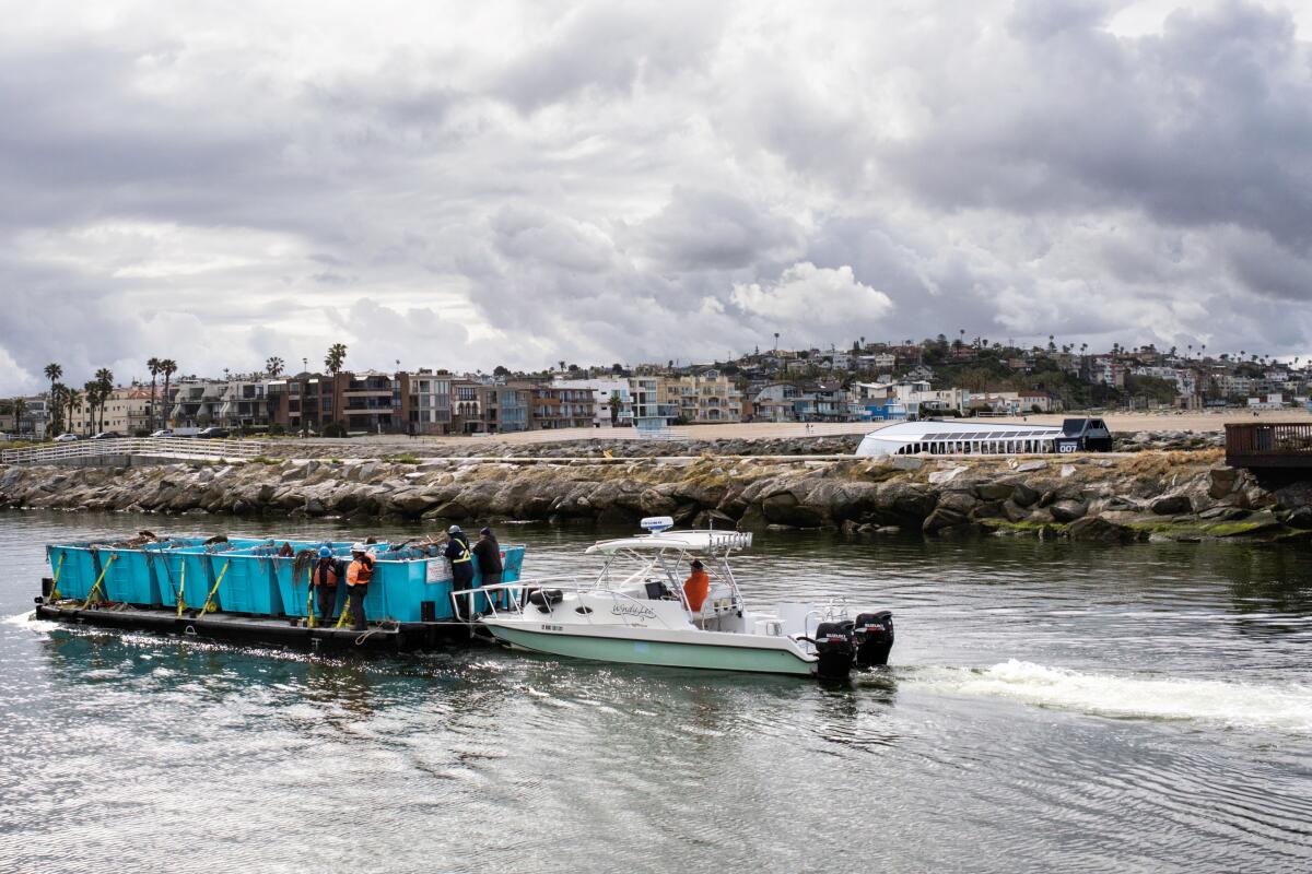 The Ballona Creek Trash Interceptor 