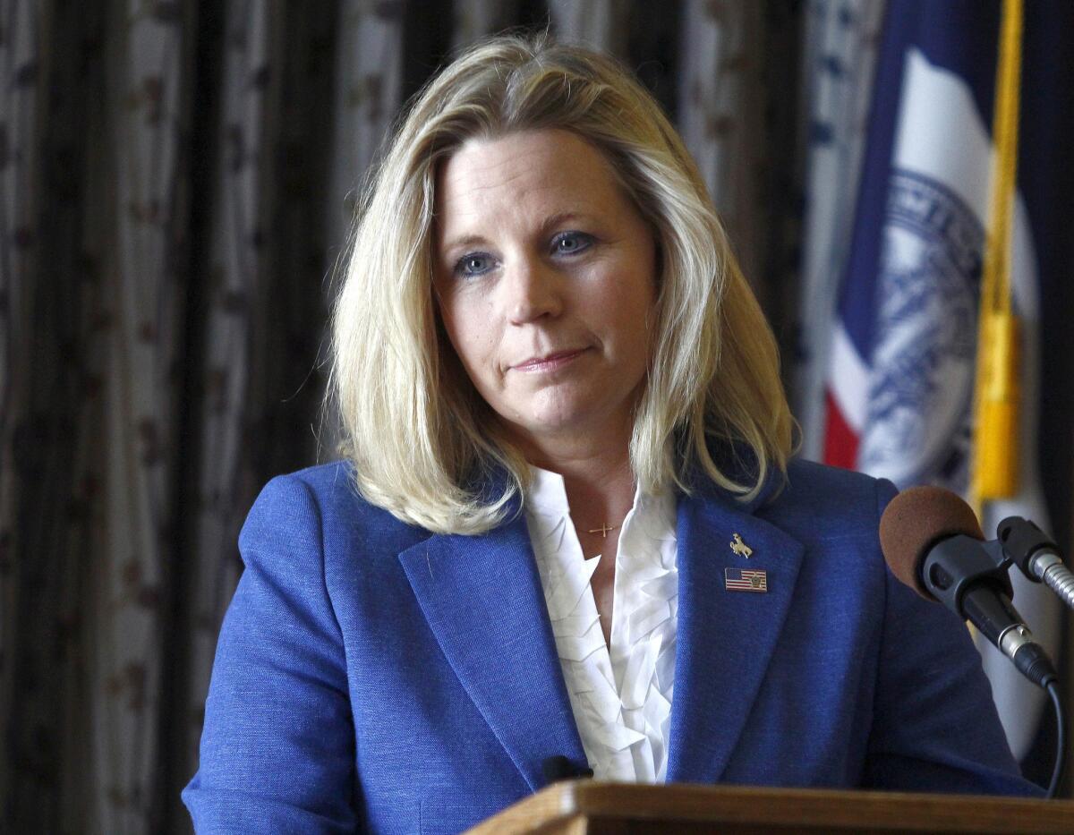 Liz Cheney, citing "serious health issues" in her family, gave up her bid for a U.S. Senate seat in Wyoming. Cheney is seen above in July 2013.