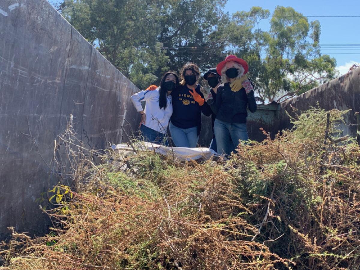 Volunteers filled three waste bins by clearing the La Jolla Bike Path of brush and debris Oct. 23.