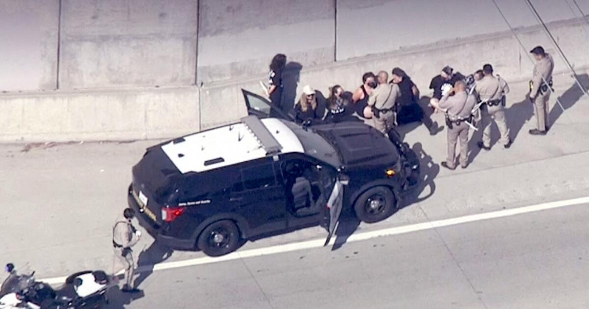 Professional-Palestinian protesters shut down 405 Freeway in West L.A.