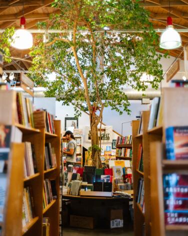 A tree grows up to the ceiling in a bookstore. 