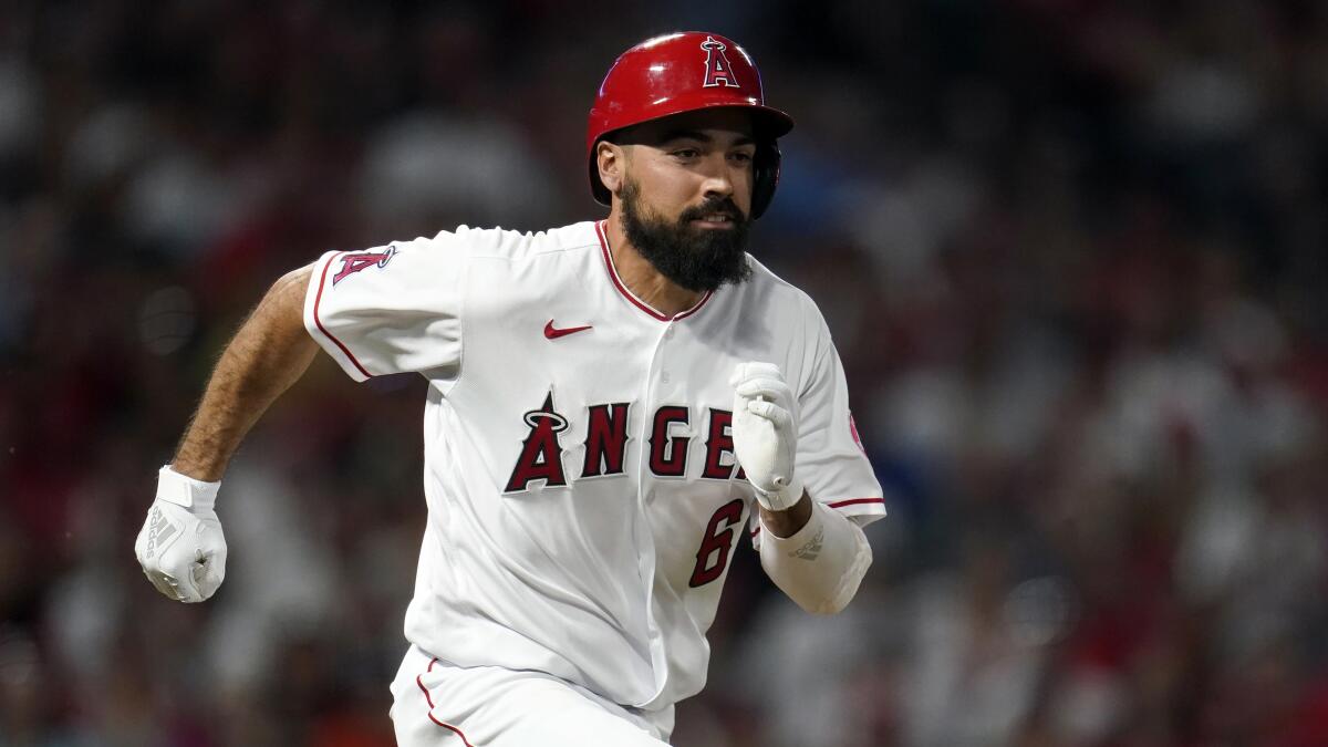 The Angels' Anthony Rendon runs to first base during a 2022 game 