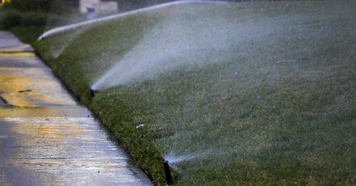 Rezension kritisiert vorgeschlagene kalifornische Wassersparvorschriften
