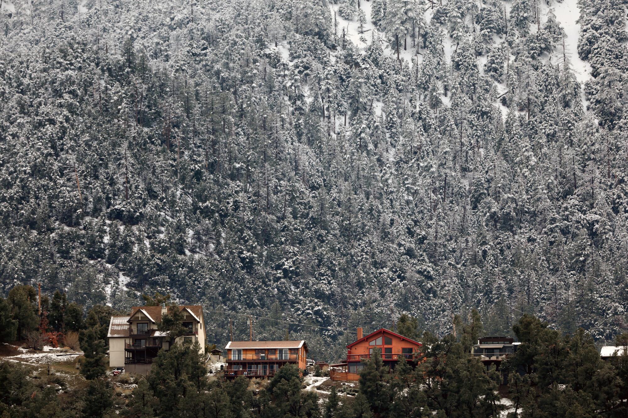 A row of homes is dwarfed by a snowy mountain in the background.