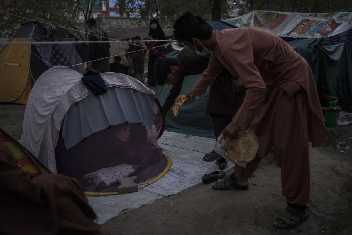 Displaced Afghans distribute food donations at an internally displaced persons camp in Kabul, Afghanistan, Monday, Sept. 13, 2021. (AP Photo/Bernat Armangue)