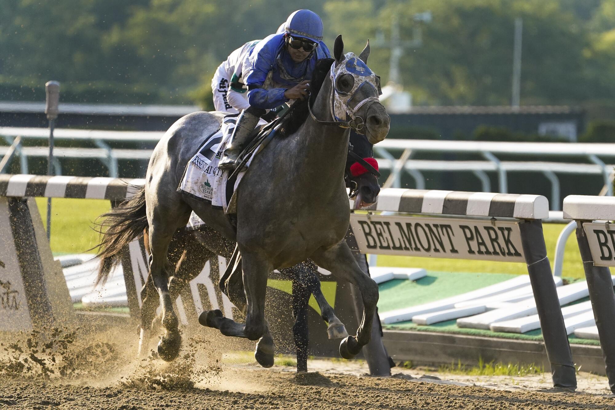 Jockey Luis Saez rides Essential Quality to victory in the 153rd running of the Belmont Stakes on Saturday.