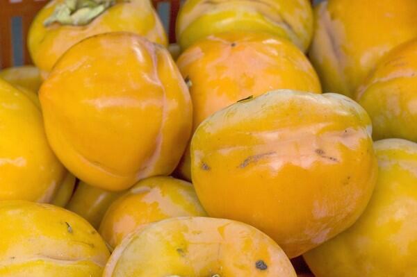 Another variety of persimmons