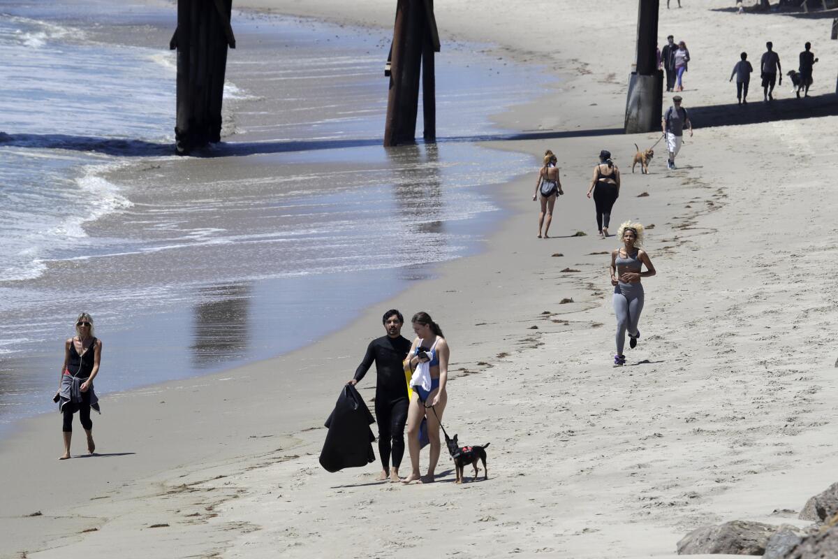 Advocates try to discourage beach-goers from getting too close to La Jolla sea  lions and their pups - La Jolla Light