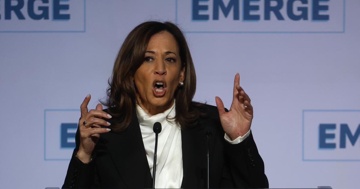 ‘Neglect’: Harris calls out a bid out after a 2024 ethnic group ‘Neglect’: Harris calls out a bid out after a 2024 ethnic group