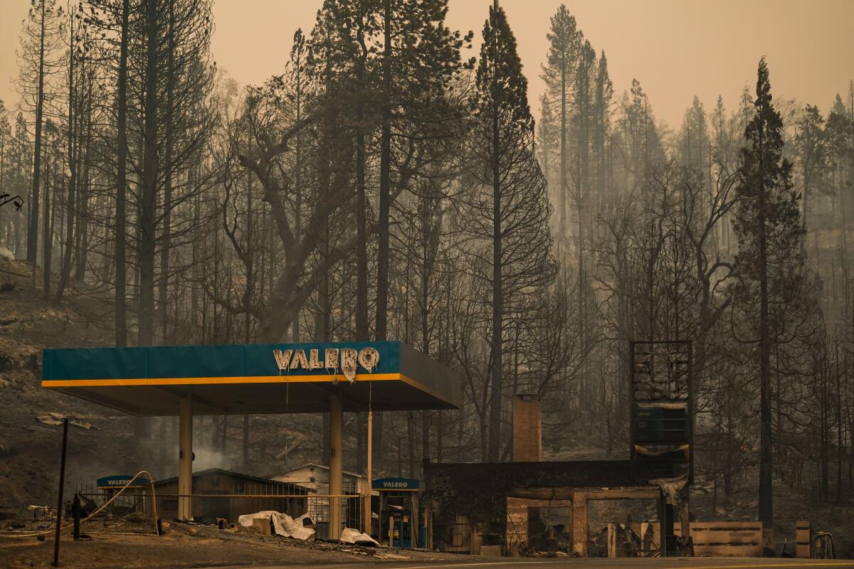A burned-out gas station sits among tall, blackened trees