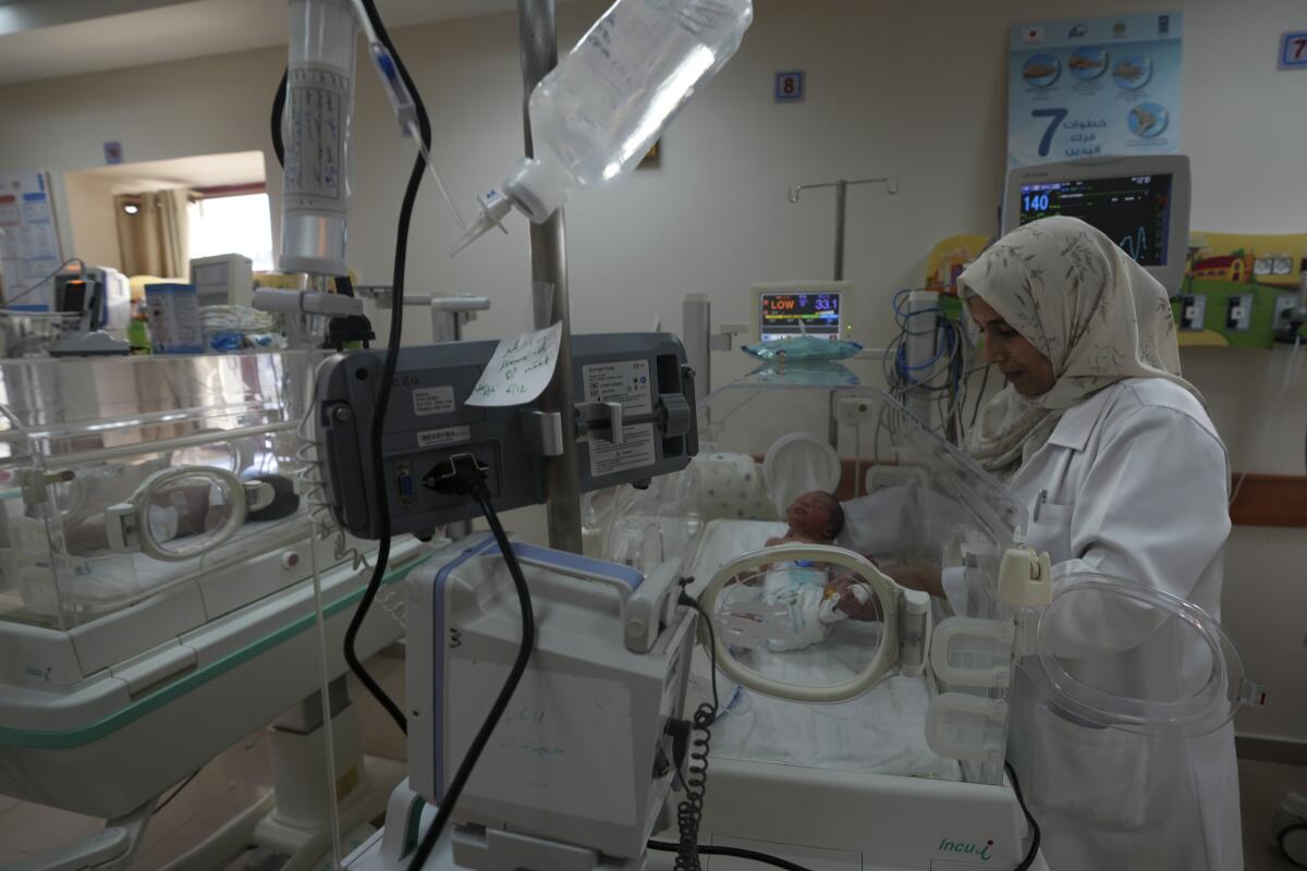 Guerra en la Franja de Gaza convierte nacimiento de bebés en momento de  preocupación y miedo - San Diego Union-Tribune en Español