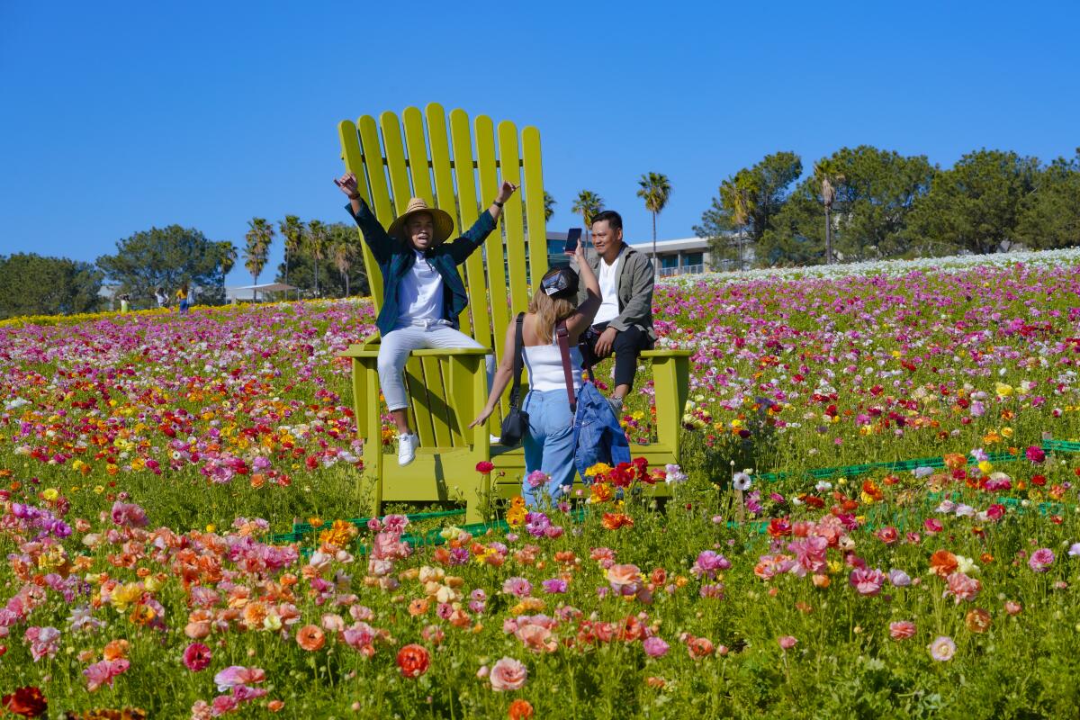 Athina Ramiscal from Chula Vista took photos of Jervis Aranda (l) and Von Ulsa (r) at The Flower Fields.