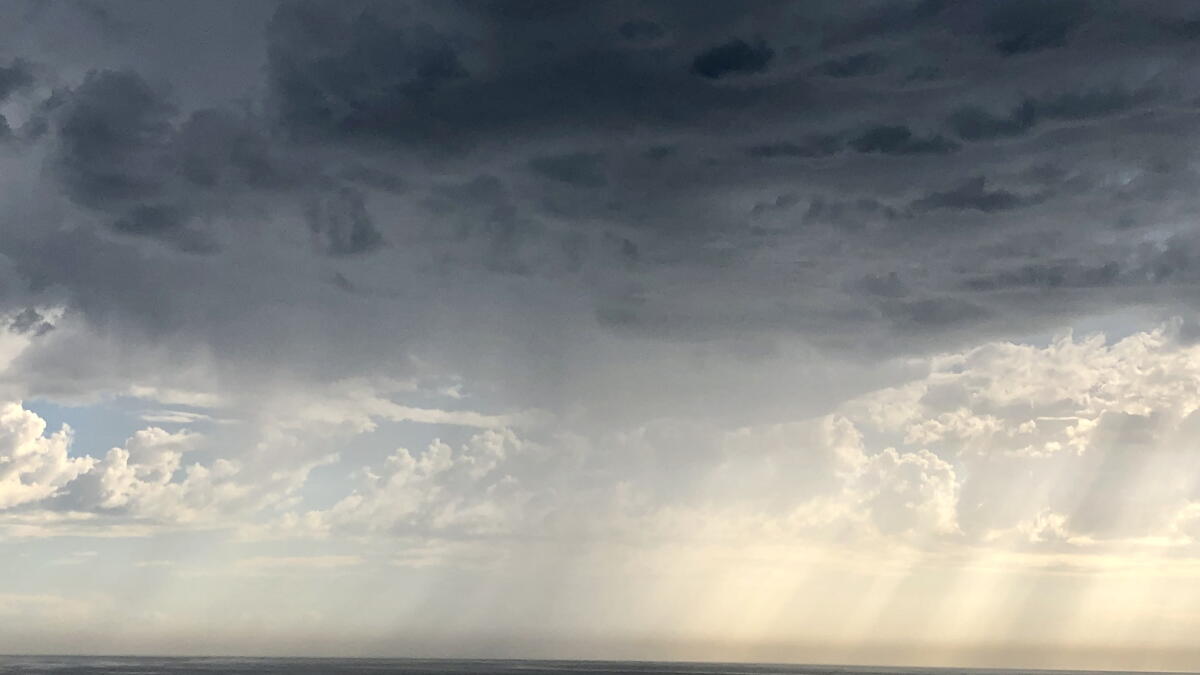 La Jolla News Nuggets: El Niño, OurWorlds app, Women of Dedication, cancer research - Vimarsana News