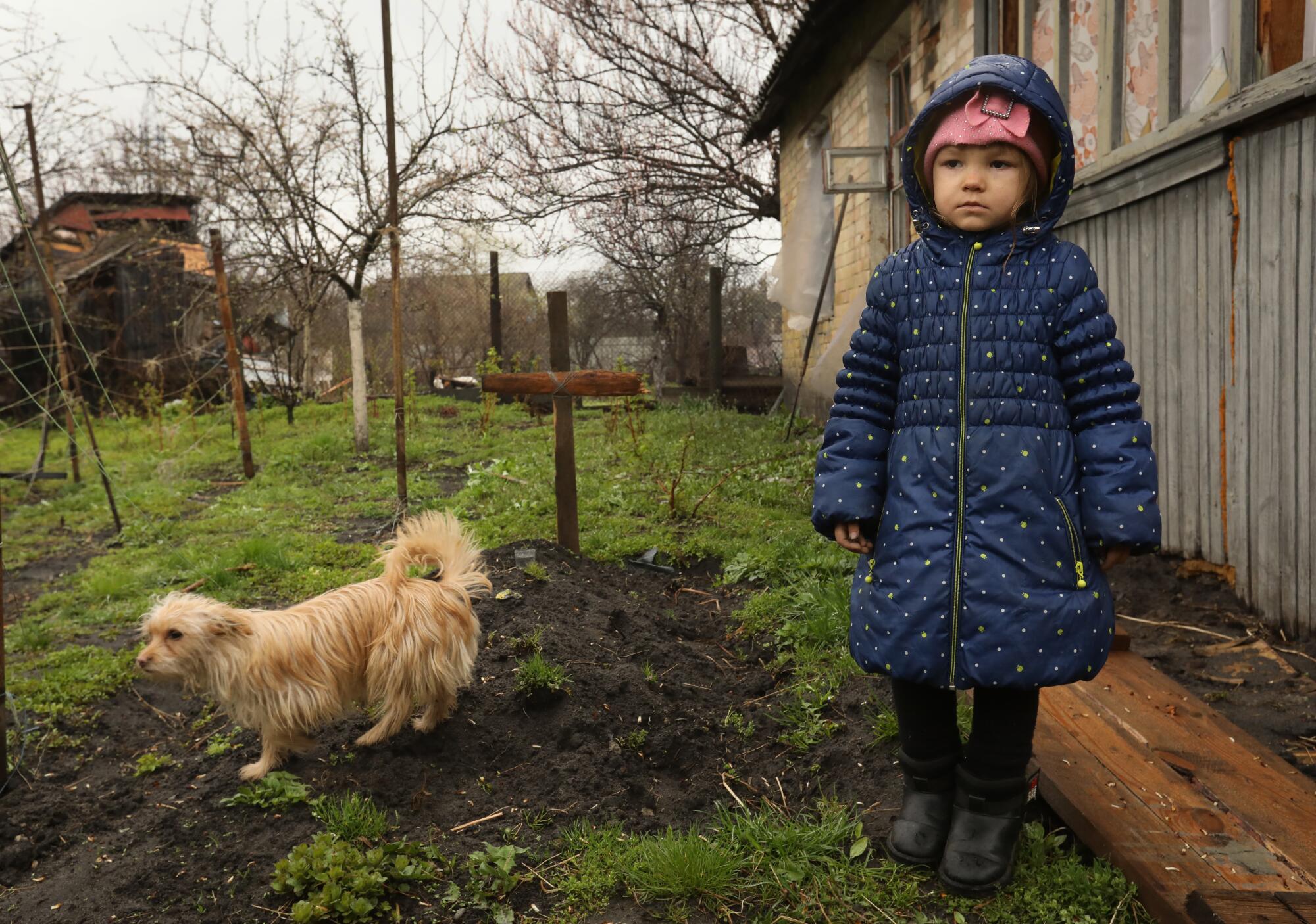 In the town of Bucha, 4-year-old Yana Oliinyk stands beside the grave of her grandfather buried in the garden. 