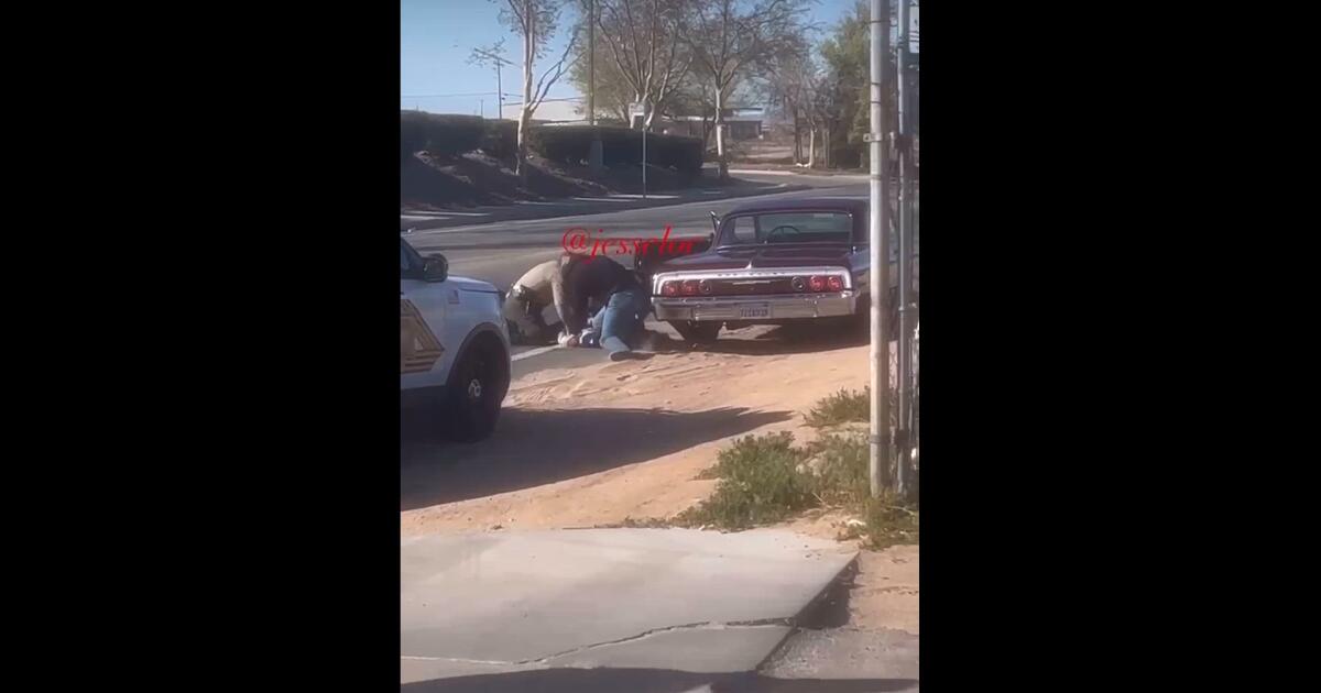 San Bernardino County deputies seen on video punching, kneeing suspect within the head