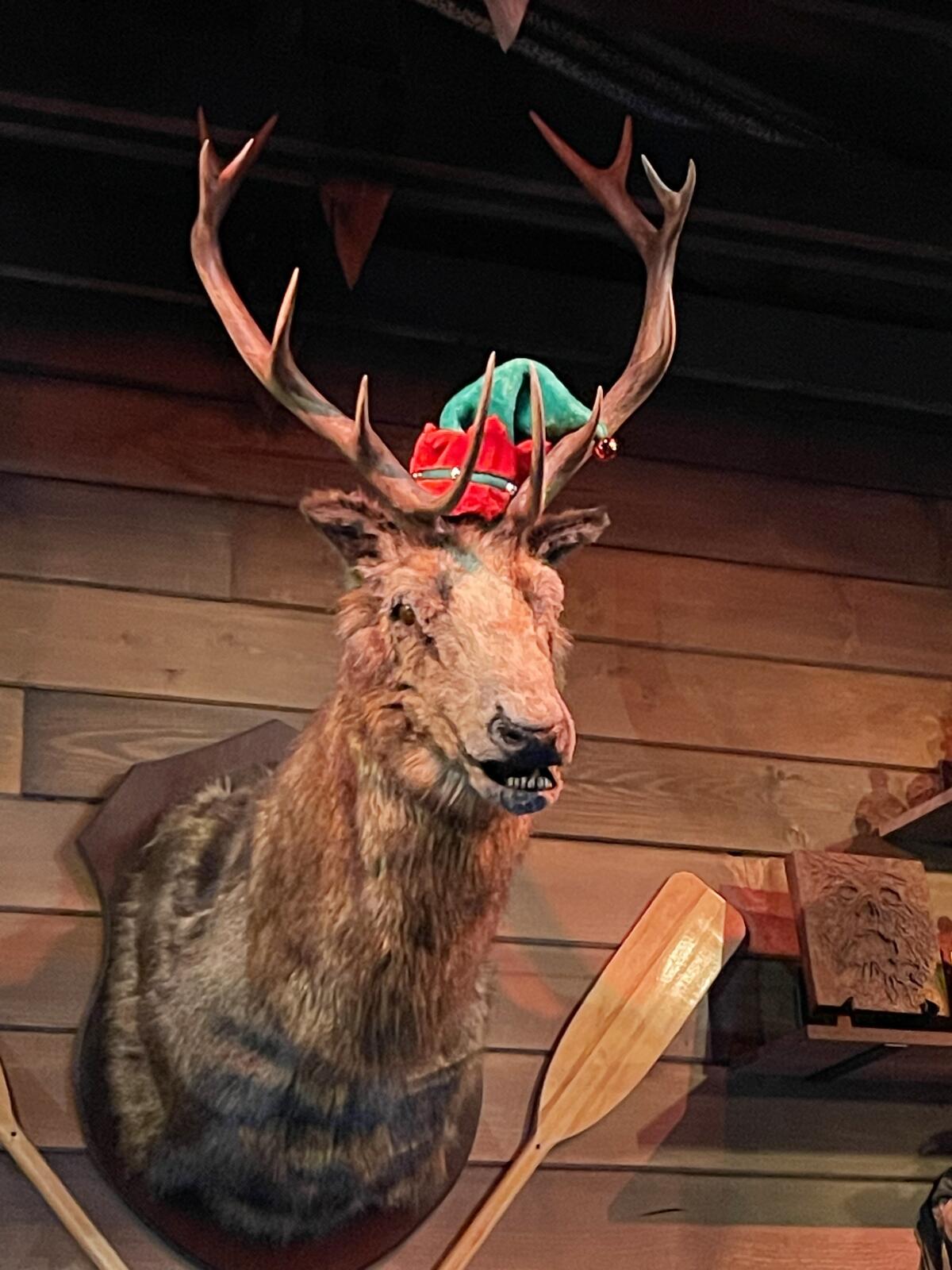 The stuffed head of a 10-point buck on the wall at Slashers moves and laughs every hour.