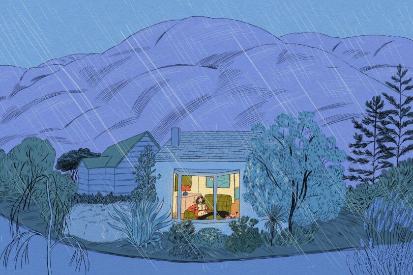 illustration of a home at night in the rain. A woman can be seen in the brightly lit window reading.