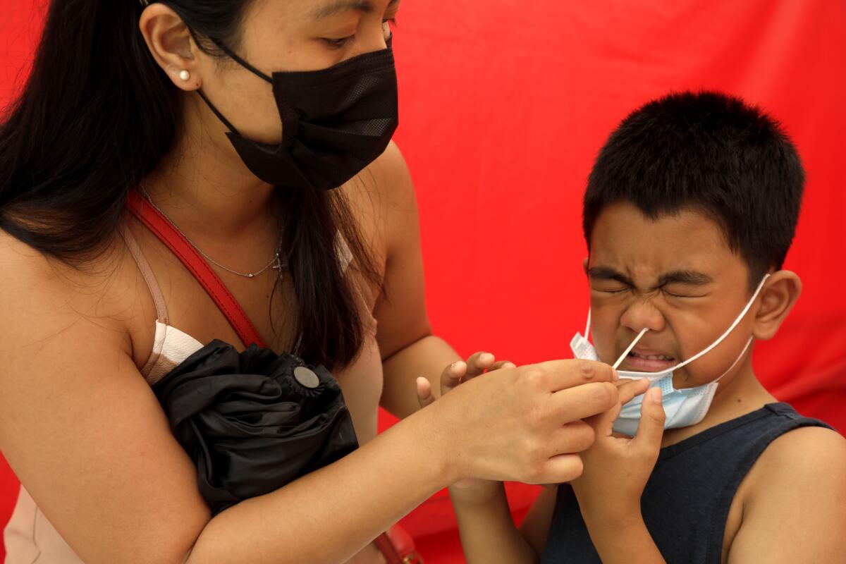 A mother swabs inside her son's nose. He grimaces