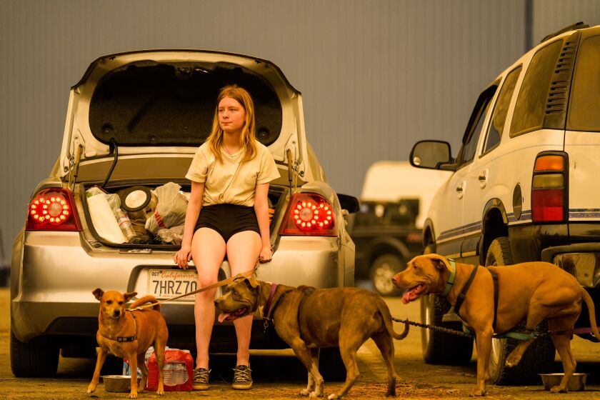 SHAVER LAKE, CA - SEPTEMBER 07: Kelsey Mueller, 16, pets Ruby while waiting with her family to be escorted from the evacuation zone at the Shaver Lake Marina parking lot off of CA-168 during the Creek Fire on Monday, Sept. 7, 2020 in Shaver Lake, CA. (Kent Nishimura / Los Angeles Times)