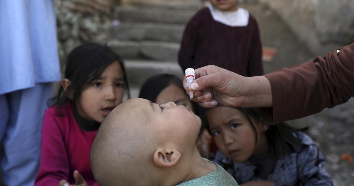 Naciones Unidas dice que los talibanes han detenido las campañas contra la polio en Afganistán