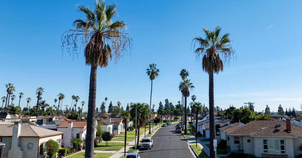 Leimert Park'ın yeni sakinlerine soylulaştırmanın dışlanmışları gibi davranmayı bırakın