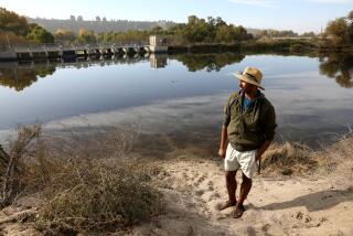 BAKERSFIELD, CA - DECEMBER 02: Miguel Rodriguez, 29, of Bakersfield, organizer of Bring Back the Kern, at the Rocky Point weir, the second point where water is taken from the Kern River and diverted into the Carrier Canal at the Panorama Vista Preserve on Thursday, Dec. 2, 2021 in Bakersfield, CA. The Kern Island, Carrier, and Beardsley Canals all take water out of the Kern River at Panorama Vista Preserve. People in Bakersfield press the California Department of Water Resources board to bring back a flowing Kern River. The river has long been dry in downtown because so much water is diverted. (Gary Coronado / Los Angeles Times)