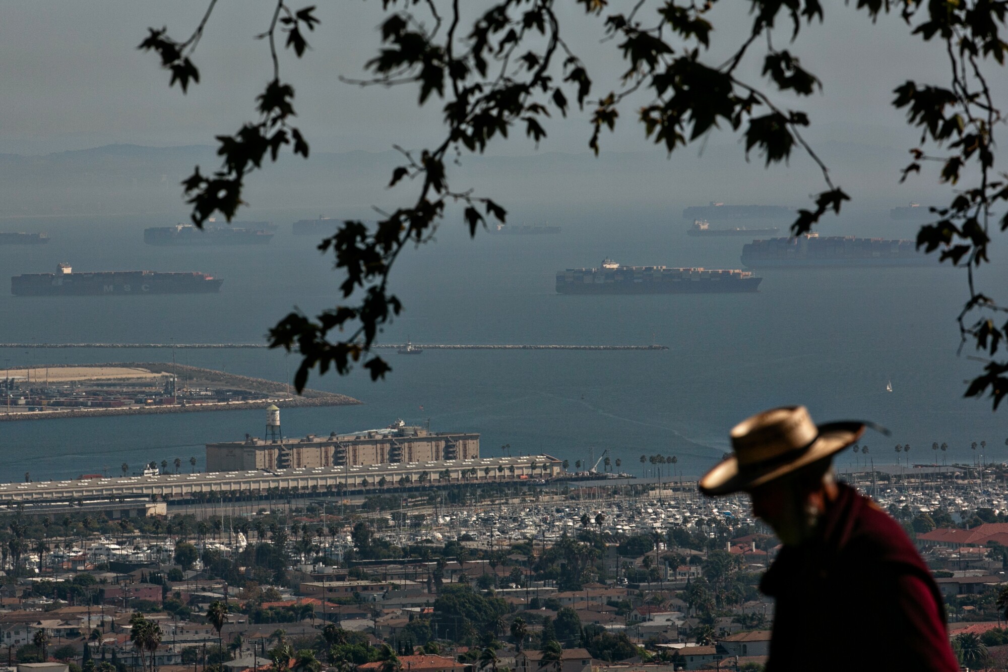 A man walks past a view of the Port of Los Angeles.